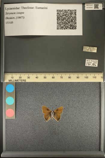 Media type: image;   Entomology 192567
